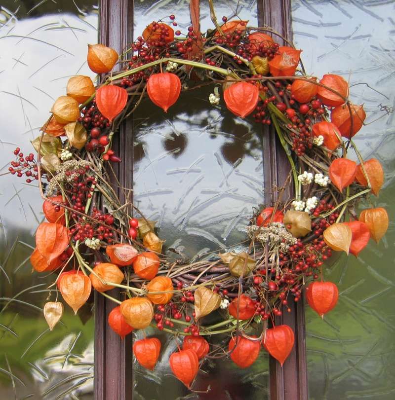 turkranz herbst physalis ta 1 4 rkranz herbstlichen selber machen turkranz herbst physalis ta 1 4 rkranz herbstlichen selber machen