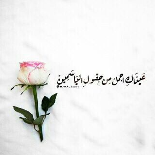أشتهيك قهوه تزيل ص داعي أشتهيك ق بله تو رد وجنتاي أشتهيك عناقا يحو ي أذر عي أحتاجك شقيا ي ضحك مبسمي واريد Arabic Quotes Romantic Words Sweet Quotes