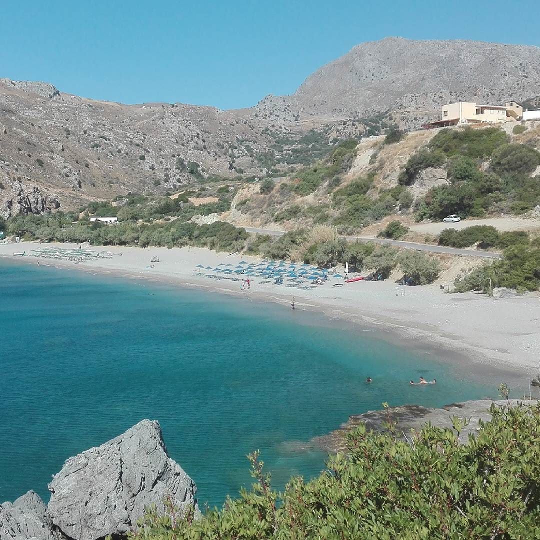ricette a base di cavolo verde a sud della spiaggia