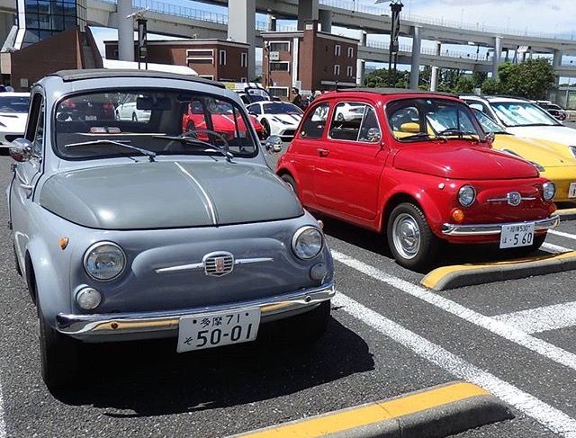 Pin By Unique Design By Maria On Fiat 500 Fiat Cars Fiat 500 Fiat