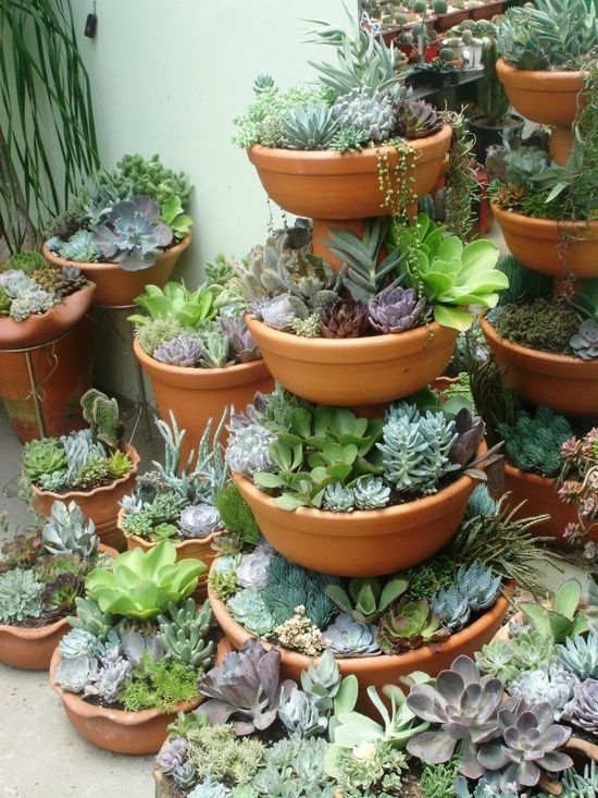 Pinterest Container Gardening Small Succulent Gardens Pinterest Container Gardening Small Succulent Gardens