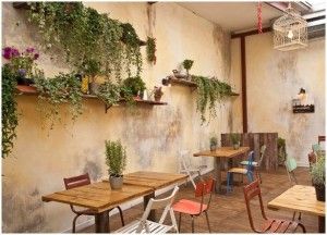 Secret Garden Of Coffee Pot Rome Cafe Interior Coffee Places