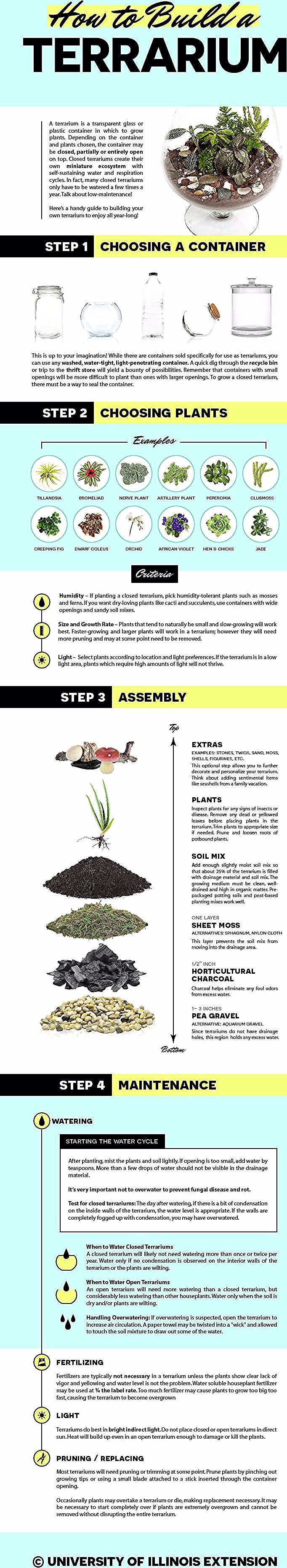 Wie baue ich ein Terrarium - ein kinderfreundliches DIY-Gartenprojekt! Nicht zu ...