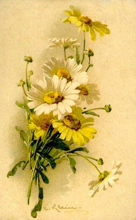 Daisy Painting, China Painting, Floral Painting, Floral Art, Art Painting, Catherine Klein, Basic Watercolor, Watercolor Flowers, Decoupage