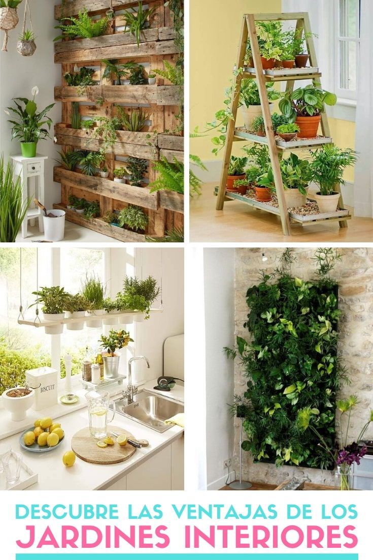 ▷ Jardins intérieurs. Découvrez les avantages d'avoir des plantes dans la ma...