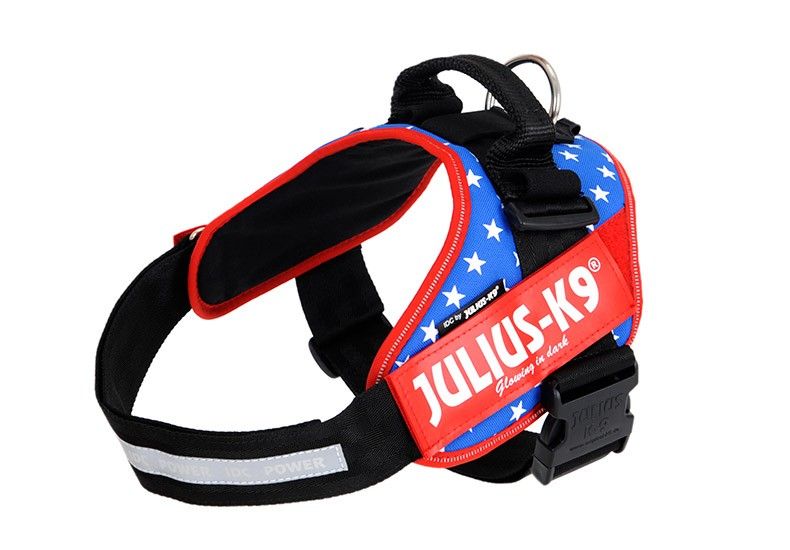 Http Www Lazada Co Th Pet Supplies Harness Dog Body Padded Extra