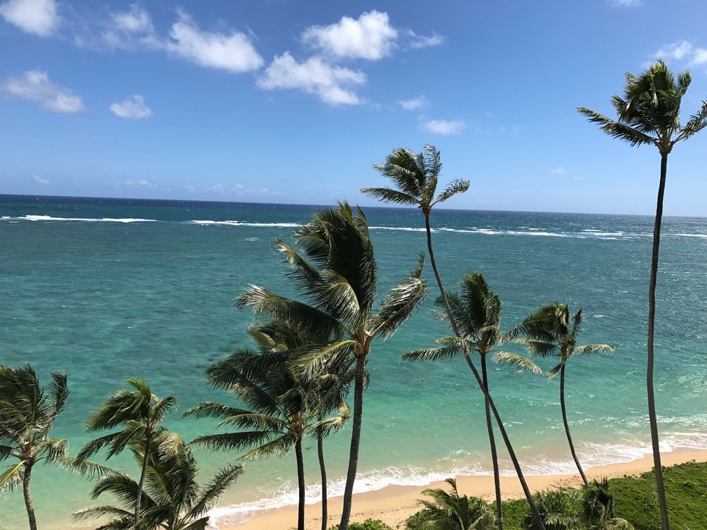 Top floor 3 bedroom/2 bath penthouse located on beautiful beach; sleeps