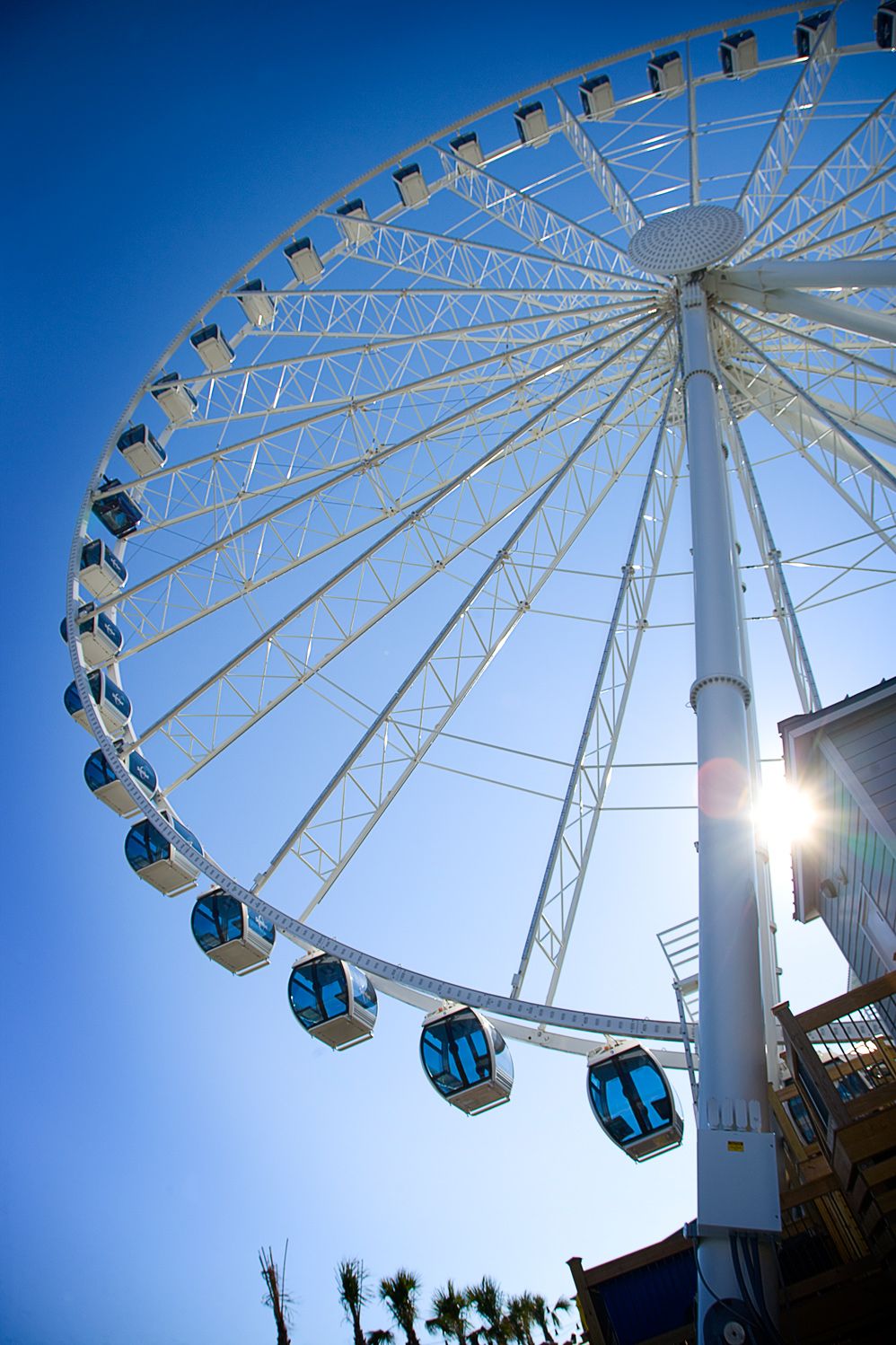 Top Winter Activities In Myrtle Beach Skywheel Travel Top Winter Activities In Myrtle Beach Skywheel