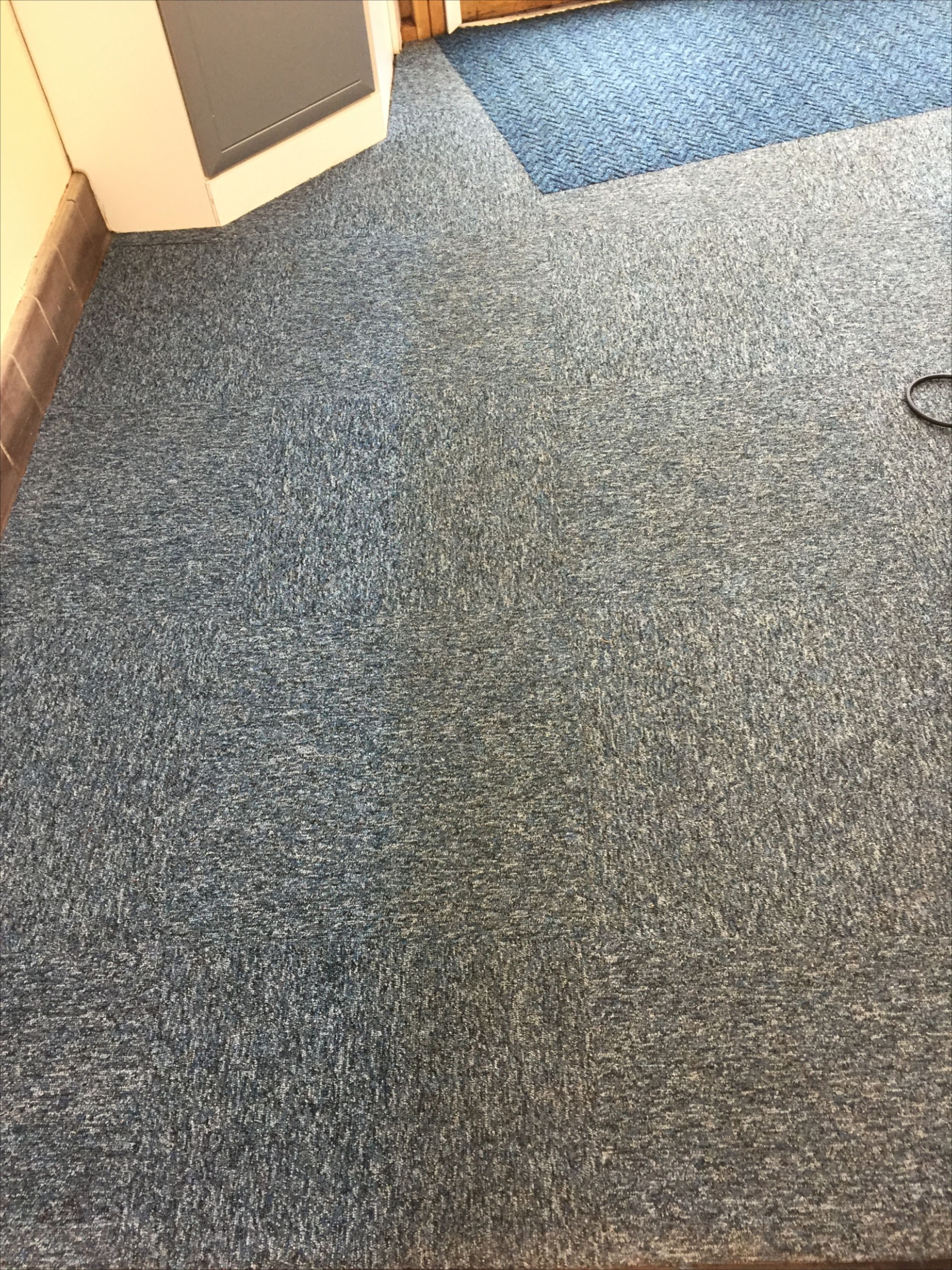We are experienced commercial carpet cleaners serving Lancashire. We are flexible and adapt our cleaning service to match your requirements. This carpet was left hygienically clean and looking its best after professional carpet cleaning. Commercial Carpet Cleaning, Carpet Cleaning Hacks, Upholstery Cleaning, Cleaning Tips, Carpet Steam, Stain Remover Carpet, Professional Carpet Cleaning, Home Carpet, Steam Cleaning