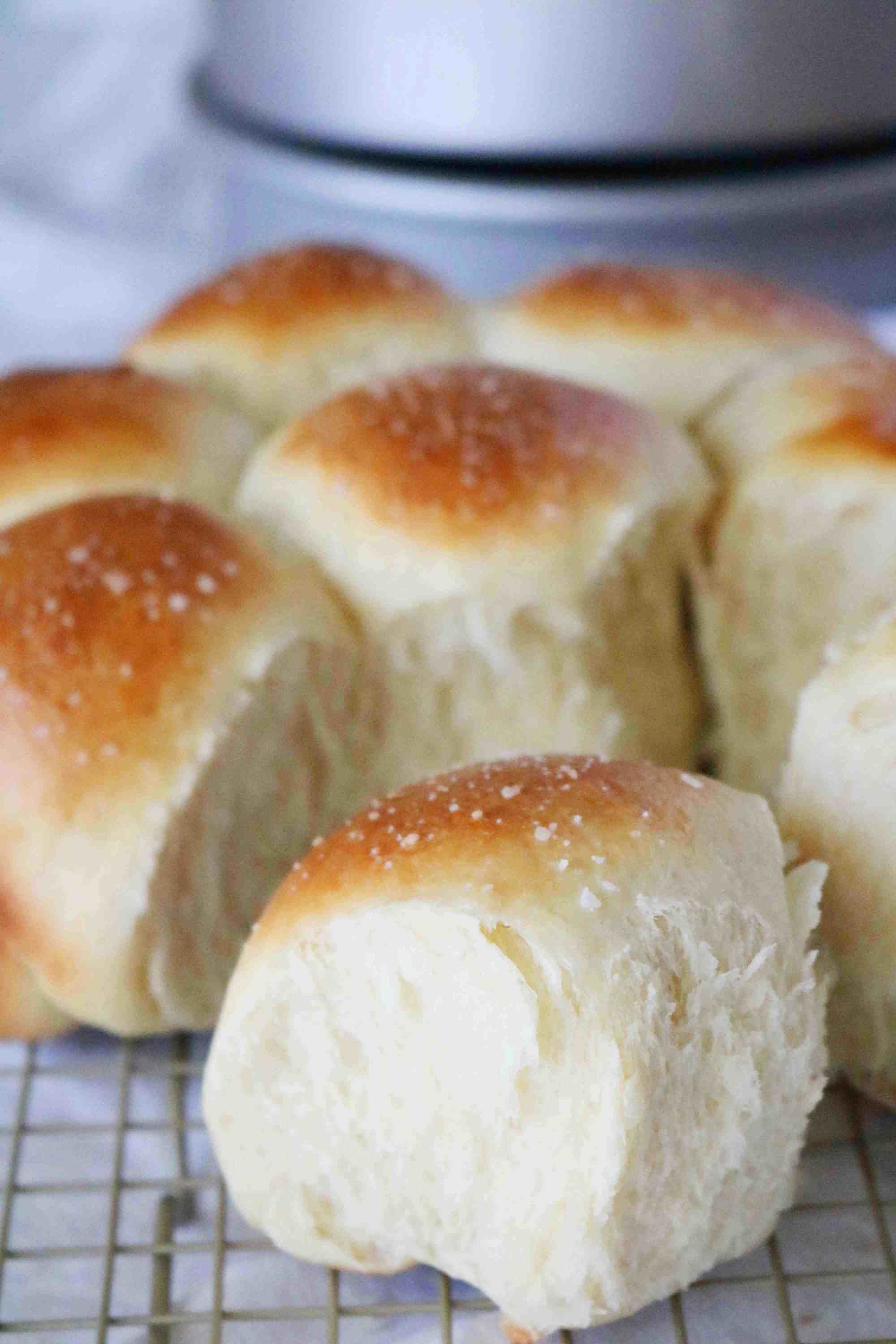Easy Yeast Rolls Great For Beginners Recipe Easy Yeast Rolls Easy Yeast Rolls Great For Beginners Recipe Easy Yeast Rolls