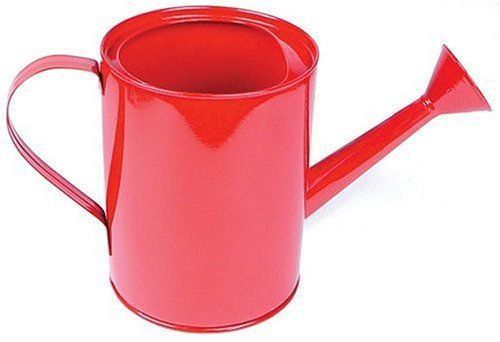 Small Metal Watering Can For Office Plants Beats My Ie Metal Watering Can For Office Plants