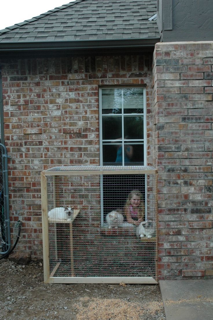 Cat Patio This Would Be Ideal For Ferrets Too They Love To Go Cat Patio This Would Be Ideal For Ferrets Too They Love To Go Outside