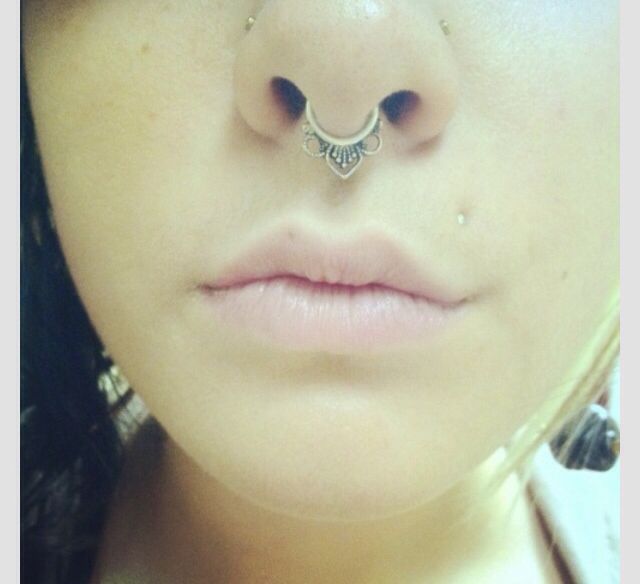 Septum | Septum piercing jewelry, Body piercings, Piercings Can I Put Vaseline On My Septum Piercing