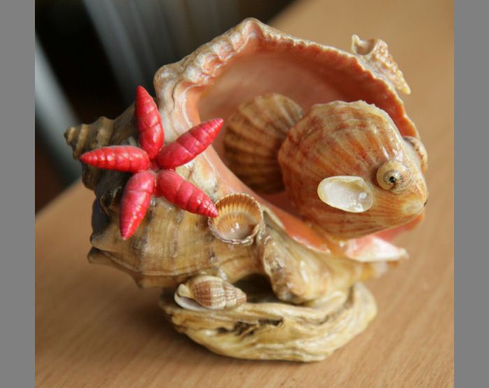diy seashell shadow box in 2025 Beach bedroom decor, Ocean themed bedroom, Bedro