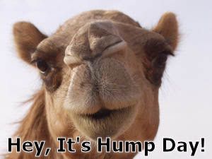 Humped day
