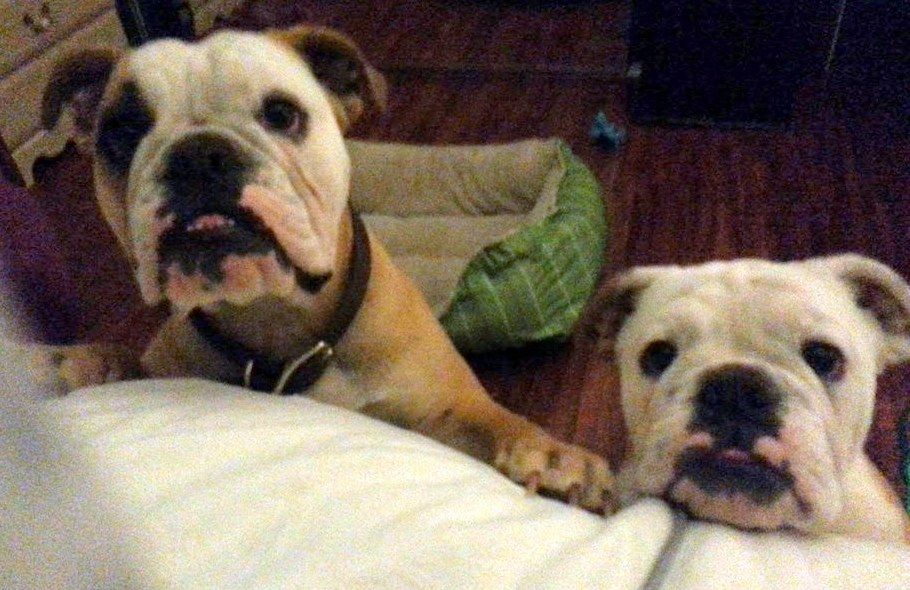 Are You Awake In There Mom We Re Ready To Go Out Eat Our