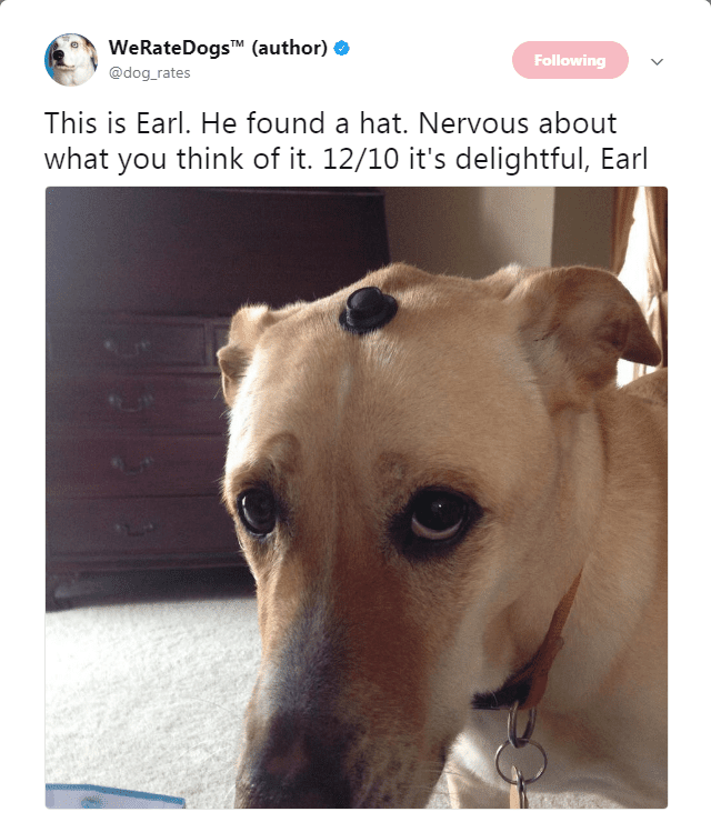24 H*ckin' Funny Tweets From We Rate Dogs Cute Animal Memes, Animal Jokes, Funny Animal Pictures, Cute Funny Animals, Dog Pictures, Funny Dogs, Funny Kitties, Funny Horses, Adorable Kittens