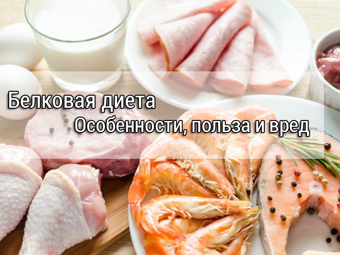 Белковая Диета Польза И. Белковая диета: «волшебные» протеины против волчьего аппетита