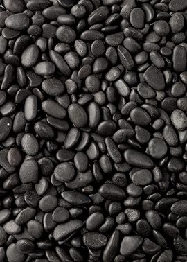 Polished Black River Gravel Soil Moisture Garden Path Landscaping Polished Black River Gravel Soil Moisture Garden Path Landscaping Rock