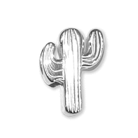 pandora charm cactus pandora charm cactus