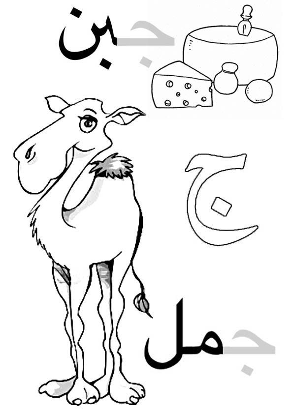 Arabic alphabet for kids, coloring page. Gim come cammello. Arabic