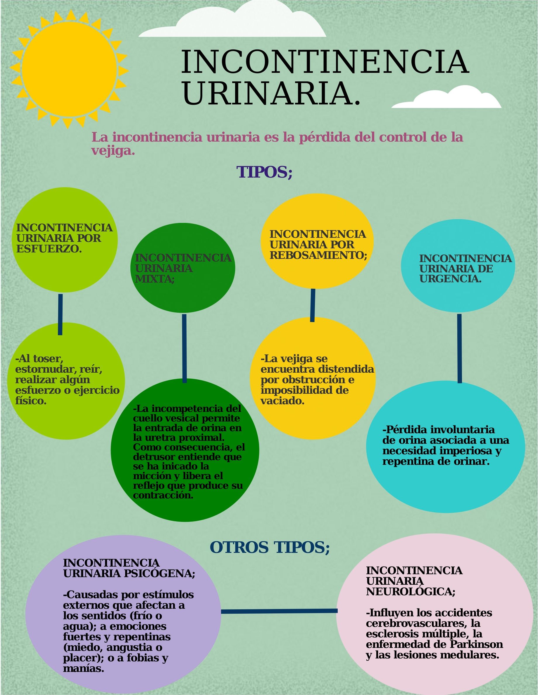 Incontinencia urinaria y tipos Incontinencia urinaria y tipos