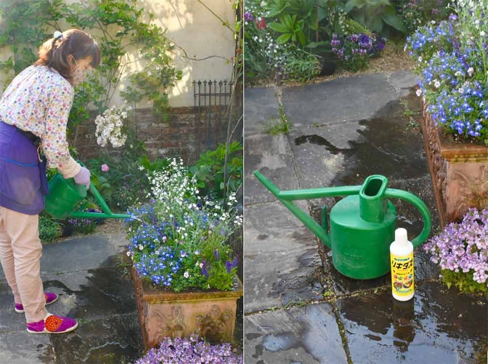 コツがいっぱい 美しい寄せ植えの作り方 春の庭 寄せ植え 素敵な庭 コツがいっぱい 美しい寄せ植えの作り方 春の庭 寄せ植え 素敵な庭