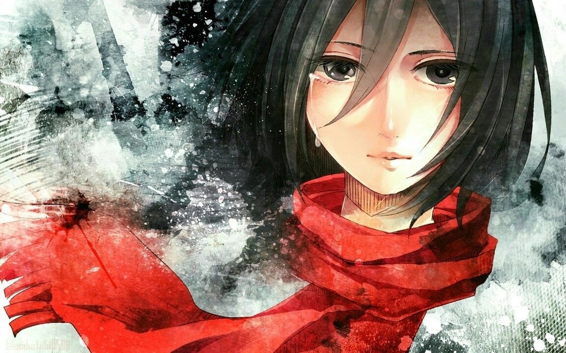 ميكاسا اكرمان Mikasa Ackerman Attack On Titan Anime Attack On Titan Anime