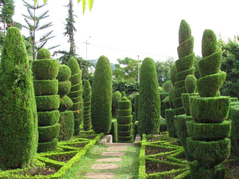 Marvelous Topiary Garden Design Ideas Part - 10: Small Garden Pics With Topiary To Improve Your Garden: Beautiful .