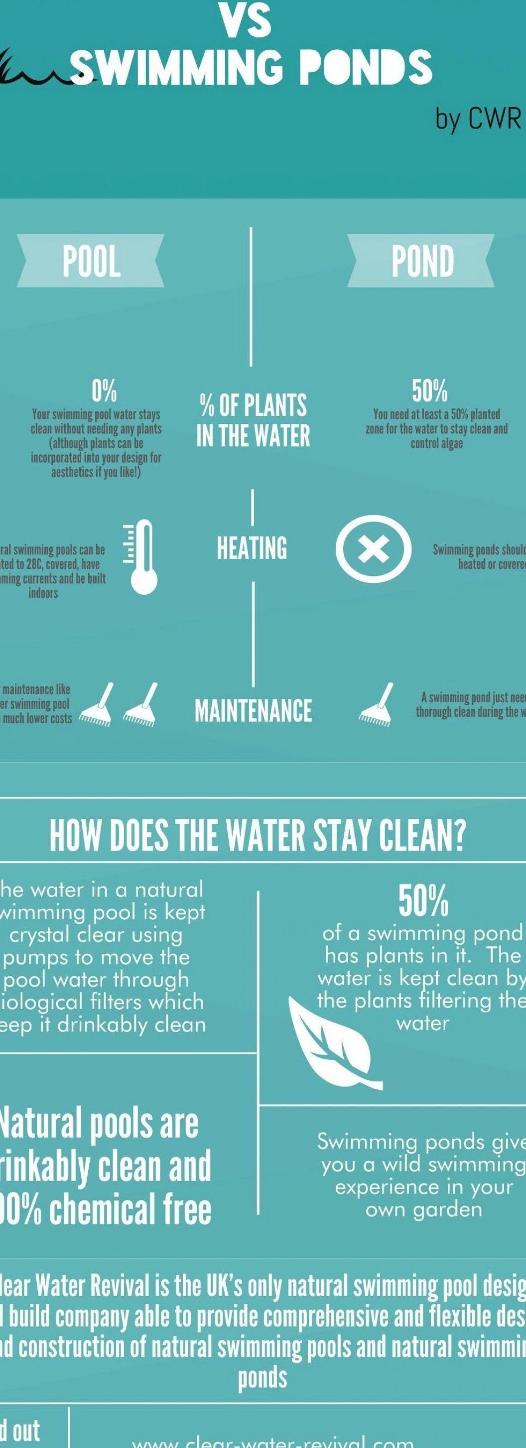 Natural Swimming Pool Vs Ponds Garden Types Tropical Garden Design Natural Swimming Pool