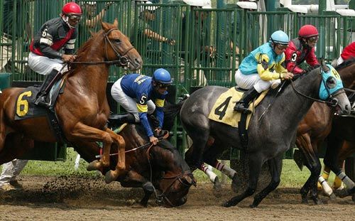 pin on racing horses