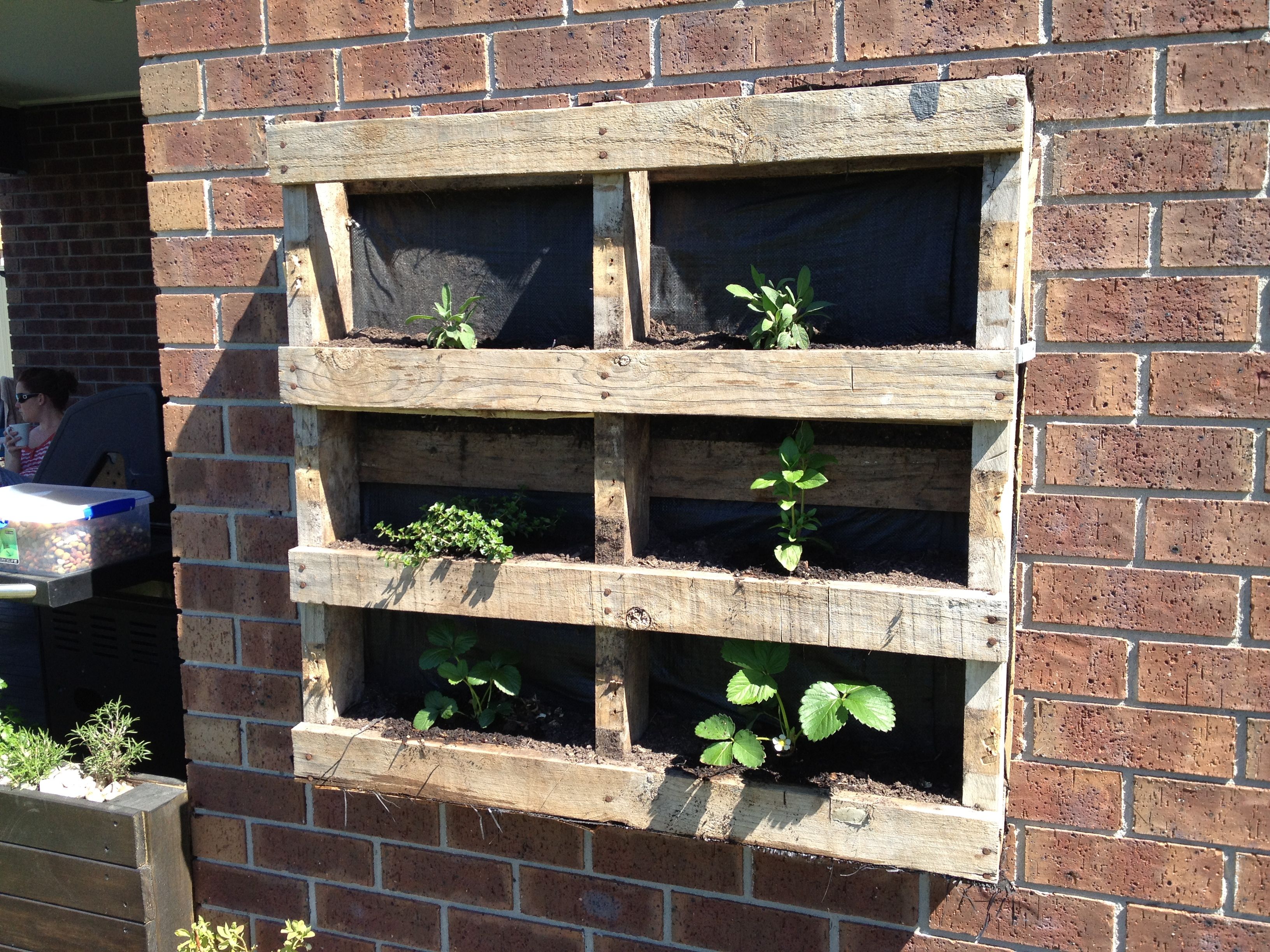My Hanging Pallet Garden My Hanging Pallet Garden