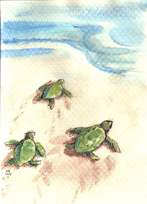 Watercolor By Blanca Alvarez Artist Art Artistic Artwork