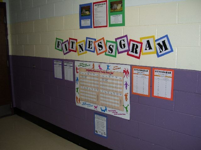 pec bulletin boards for physical education elementary pe teacher cover letters