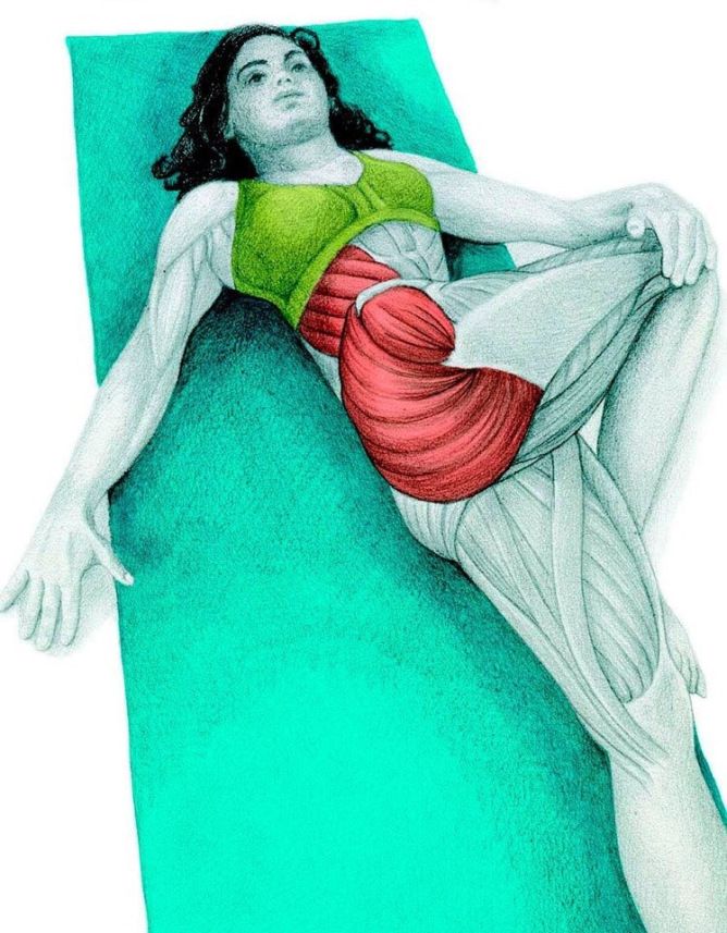 Estiramientos: Guia básica ilustrada de estiramientos. – Gimnasio Rizo Fitness Del Yoga, Physical Fitness, Fitness Body, Stretching Exercises, Yoga Stretches, Yoga Poses, Kundalini Yoga, Yoga Meditation, Yoga Mantras