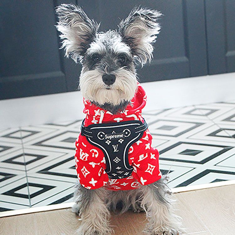 シュプリーム 犬リードセット ハーネス 21 犬 ロゴ おしゃれ 犬用ハーネス シュプリーム 犬リードセット ハーネス 21 犬 ロゴ おしゃれ 犬用ハーネス