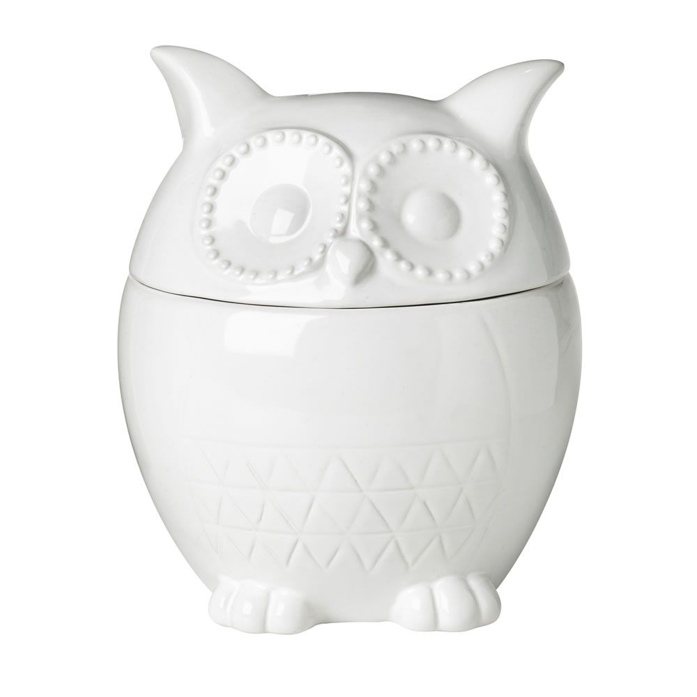 Wilko Vintage Floral Storage Jar Owl Ceramic Pinned By Www