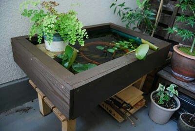 Fish Room おしゃれまとめの人気アイデア Pinterest Adel M こけ庭 水槽 レイアウト 庭のプロジェクト Fish Room おしゃれまとめの人気アイデア Pinterest Adel M こけ庭 水槽 レイアウト 庭のプロジェクト