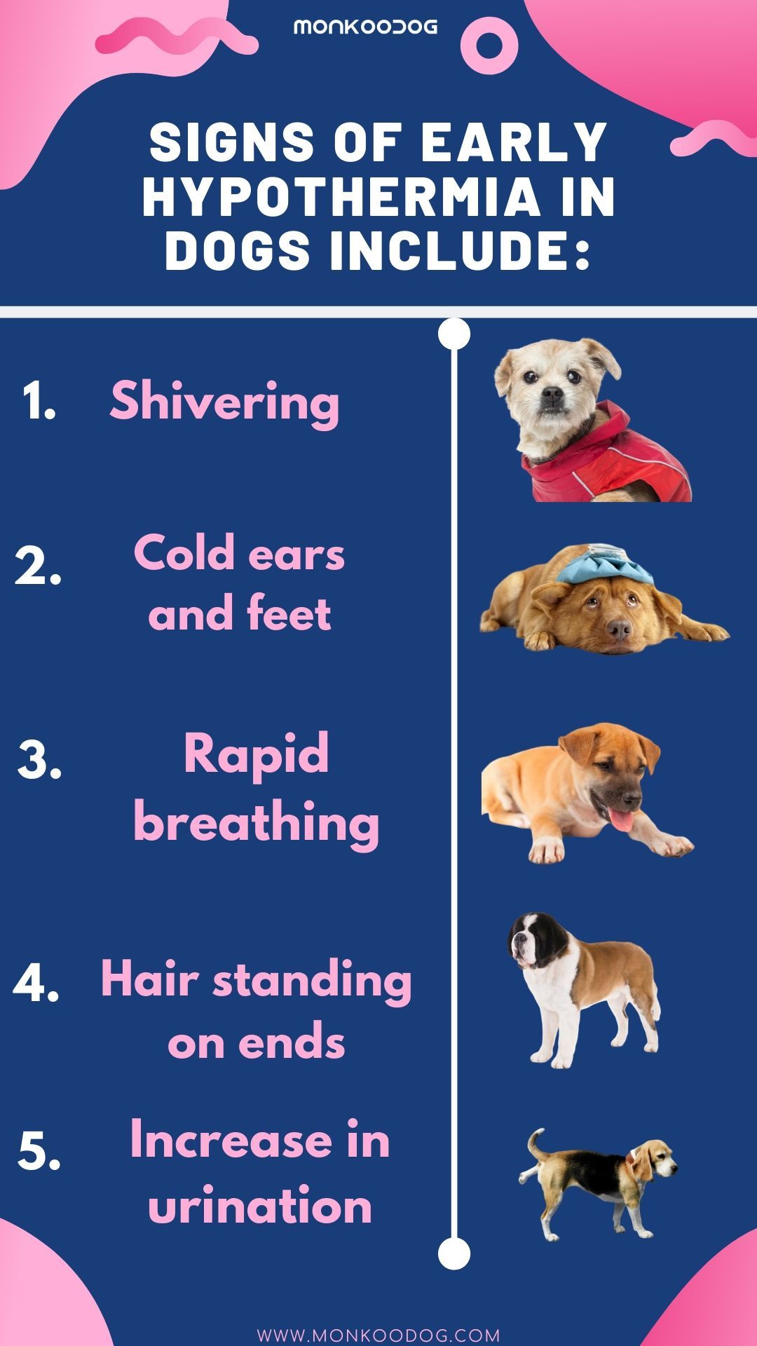 Signs Of Early Hypothermia Monkoodog Smartdog Hypothermia