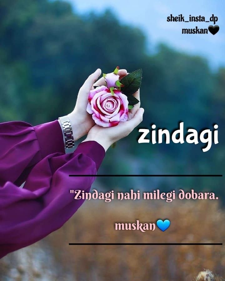 "Zindagi " Follow @sheik_insta_dp Like , comment, #dearzindagi 💖💖 #