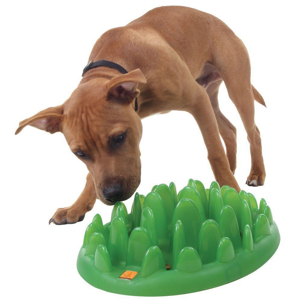 Northmate Green Interactive Slow Food Dog Bowl Interactive Dog