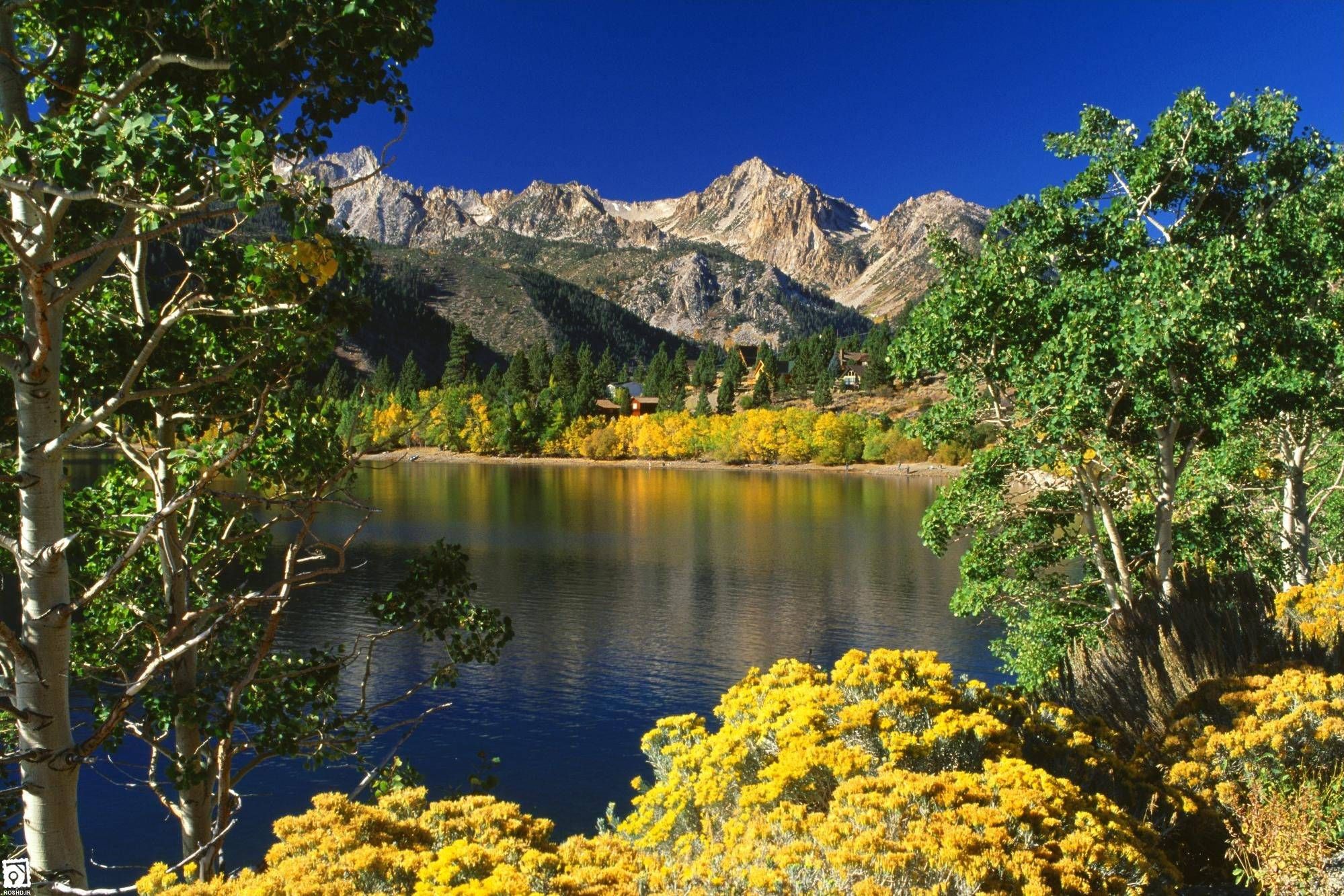 Humboldt Toiyabe National Forest | Go Camping America