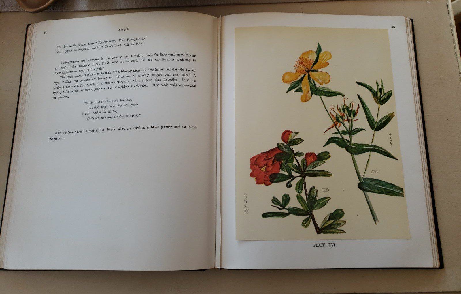 Flowers And Folklore From Far Korea Mercari Floral Prints Prints Folklore