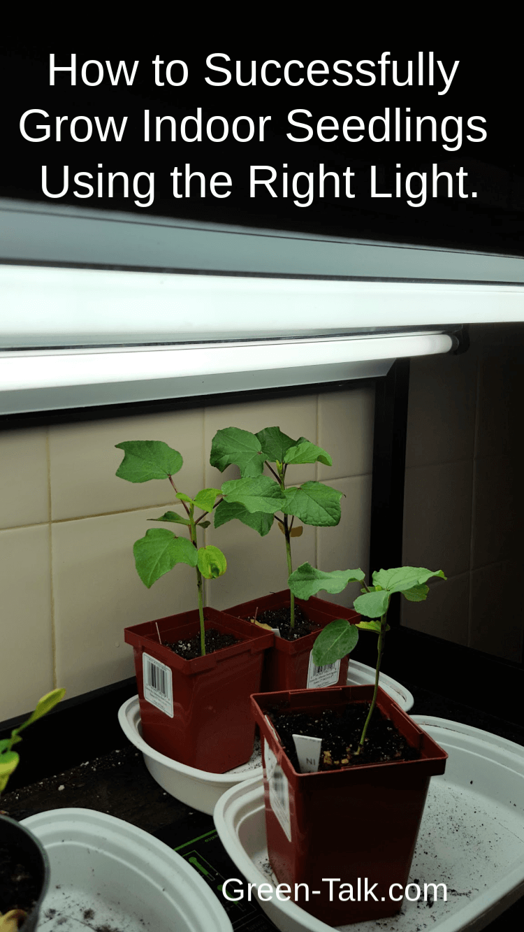 indoor grow lights for seedlings indoor grow lights for seedlings
