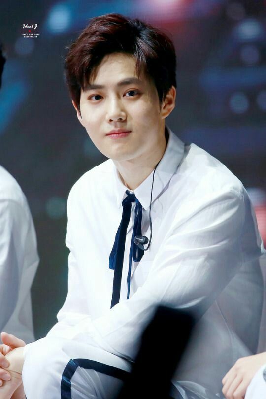 kim junmyeon suho exo suho nl ler exo kim junmyeon suho exo suho nl ler exo