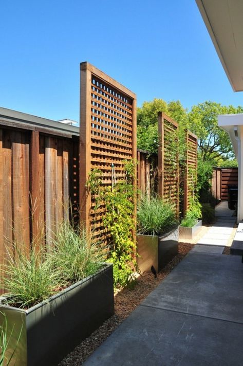 Backyard Privacy Fence Landscaping Ideas On A Budget 471 Fence Landscaping Ideas