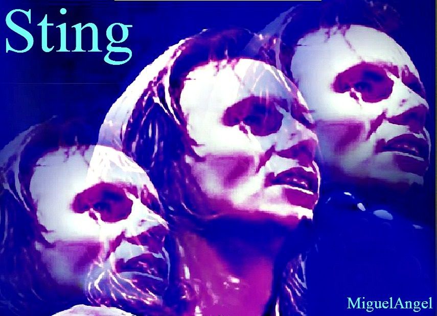 Pin On Sting The Police Otros