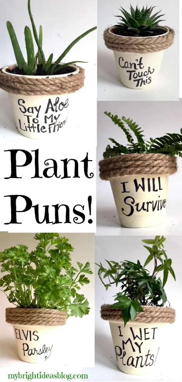 Plant Puns on Painted Potted Flower Pots - Adorable Gift Idea to Make Them Smile! - My Bright Ideas