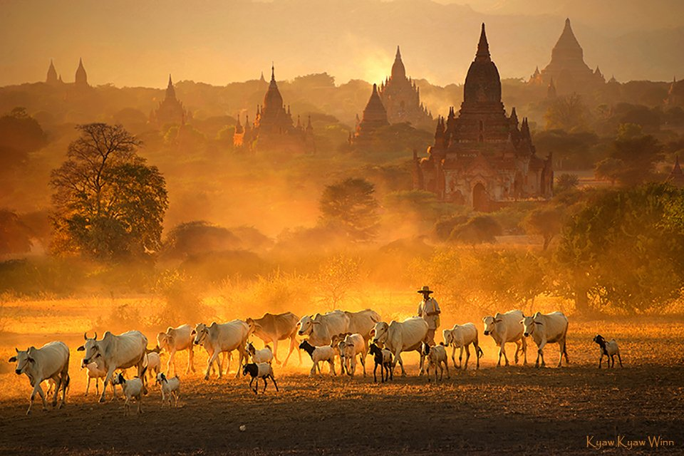 One Day Private Photo Tours in Bagan, Yangon, Mumbai, Saigon & Jakarta
