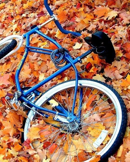 Kriskris Gr Adli Kullanicinin Bicycles Make Me Happy Panosundaki Pin Bisiklet Sonbahar Bi Si Klet
